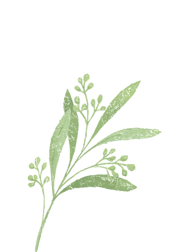 云南省中医医院