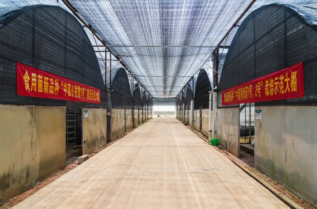 晋宁 诗意的栖居地