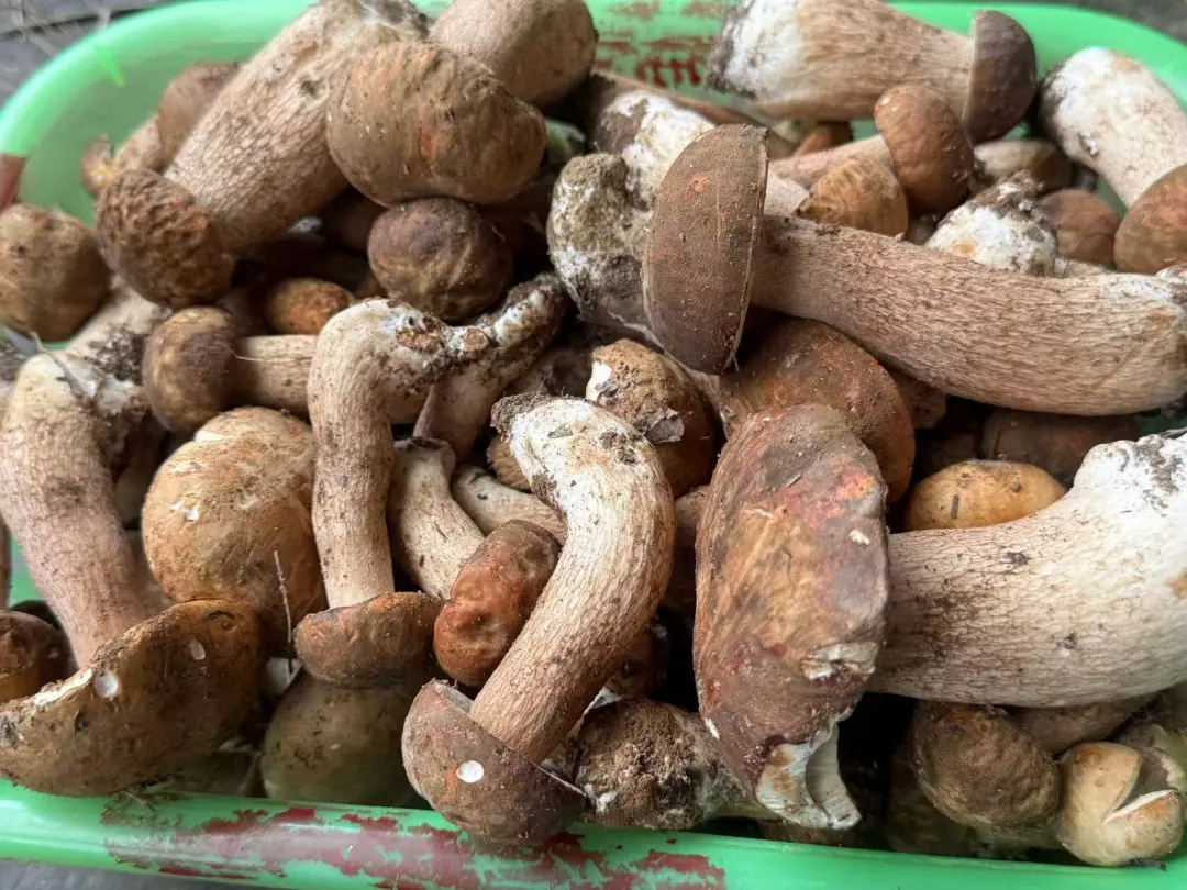 晋宁 诗意的栖居地