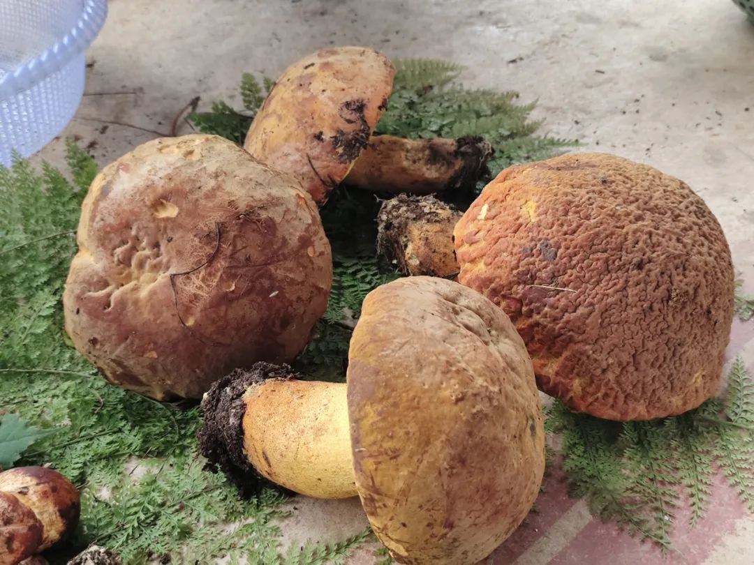 晋宁 诗意的栖居地