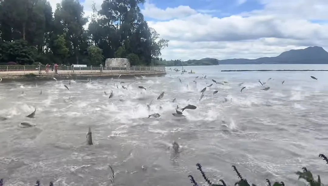 昆明广播电视台