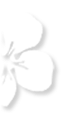 昆明市妇幼保健院