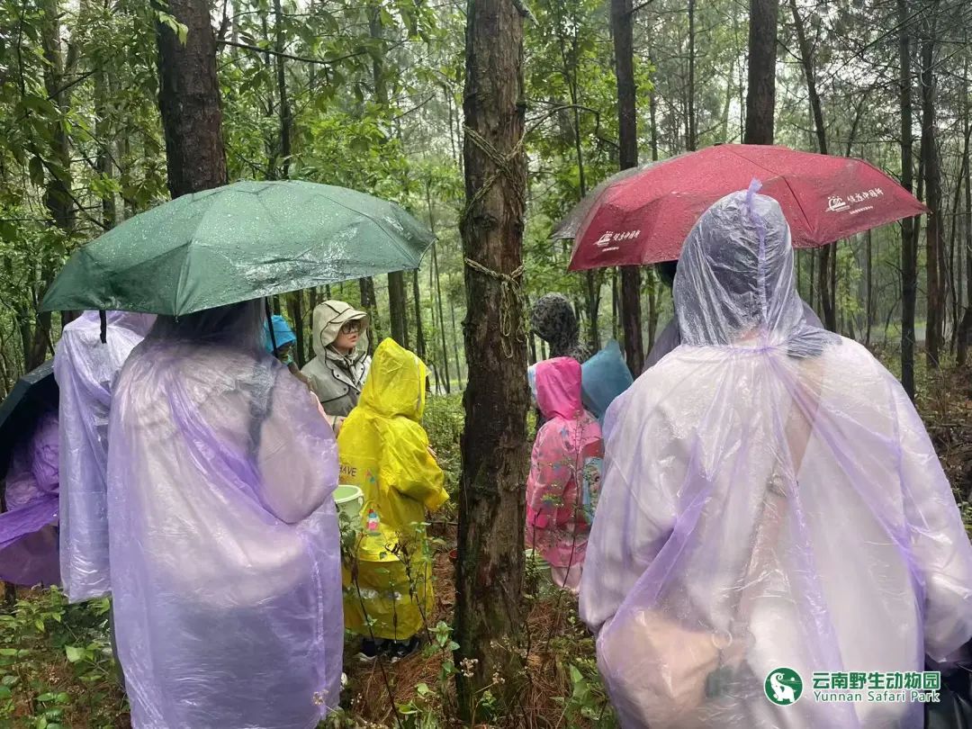 云南野生动物园