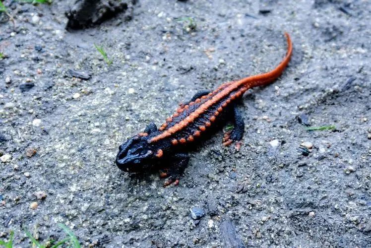 云南省人民检察院