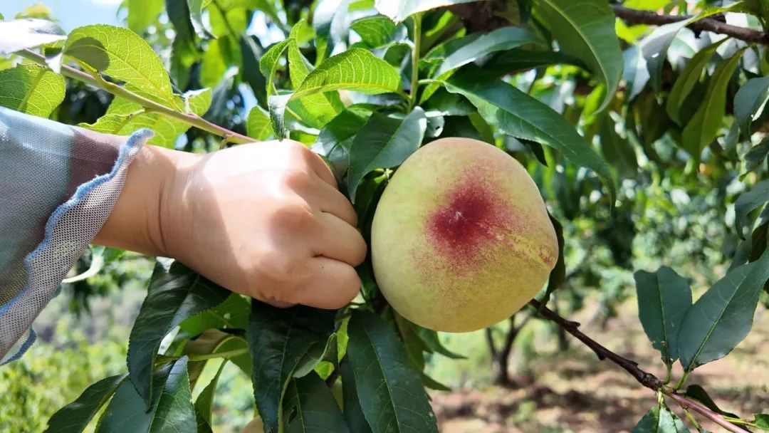 晋宁 诗意的栖居地
