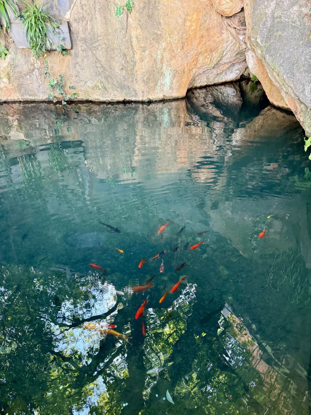 昆明西山发布