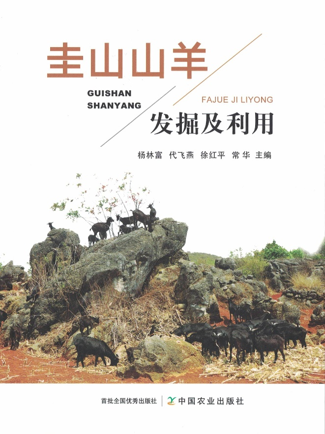 石林融媒