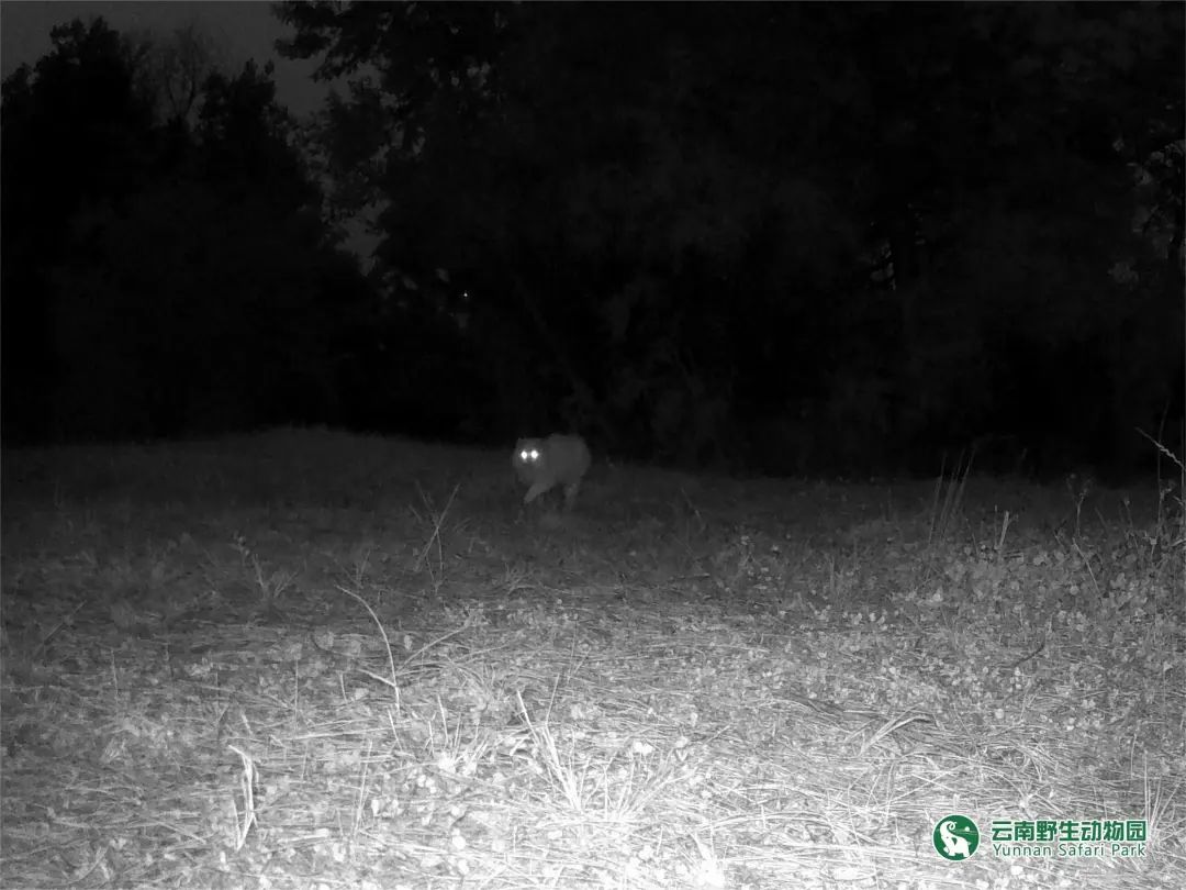 云南野生动物园