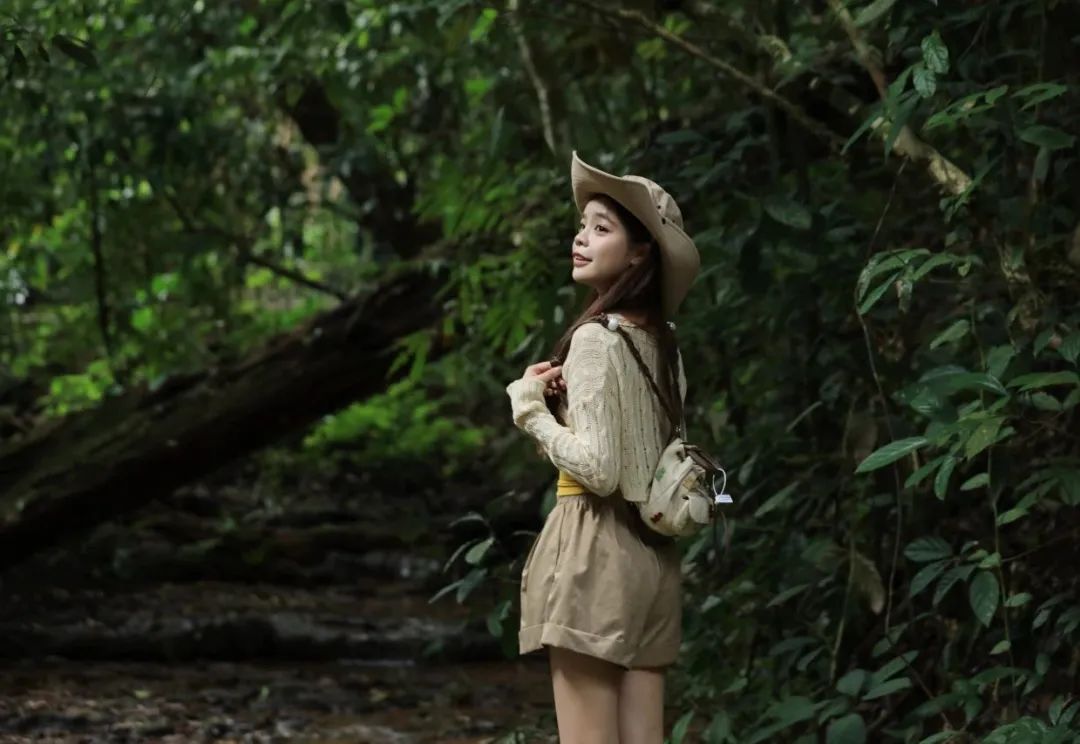 西双版纳望天树景区