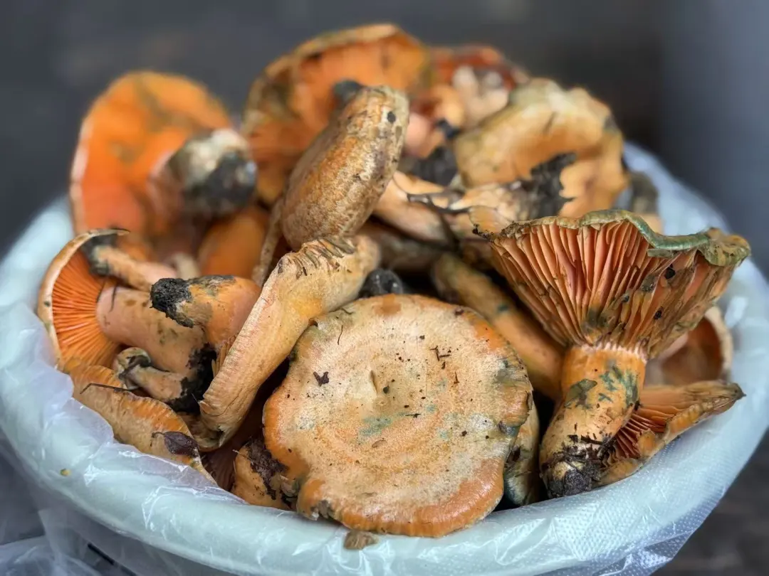 晋宁 诗意的栖居地