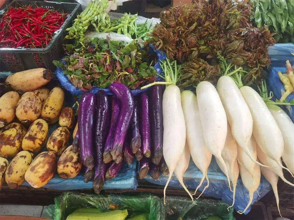 昆明公共文化云