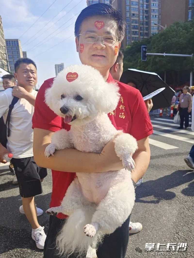 8099999街头巷尾微信