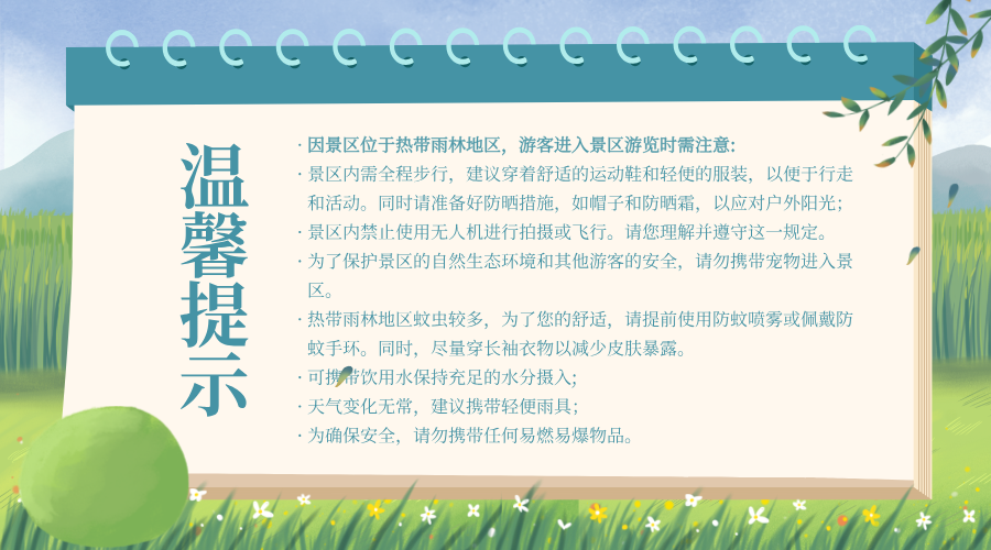 西双版纳望天树景区