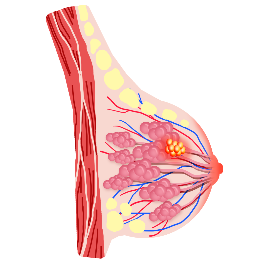 云南省中医医院