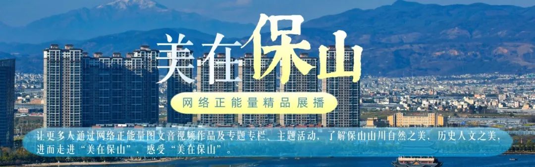 保山新闻网