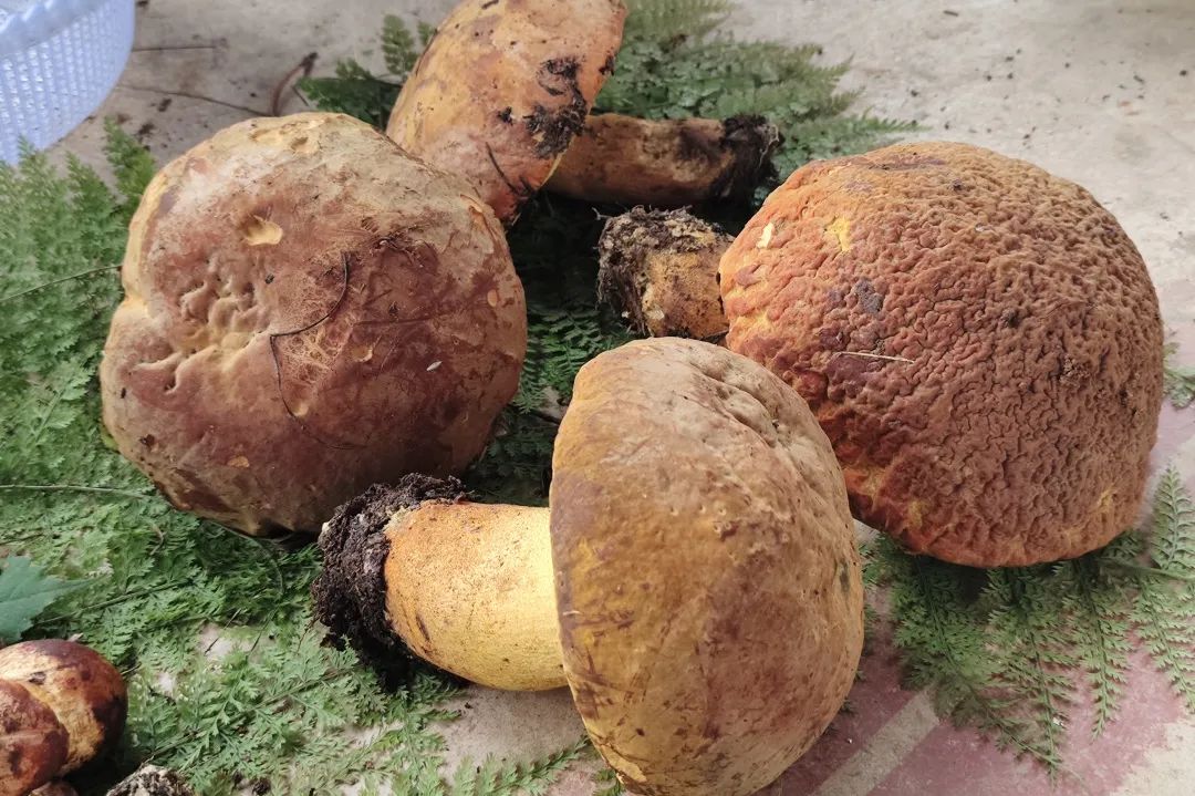 晋宁 诗意的栖居地