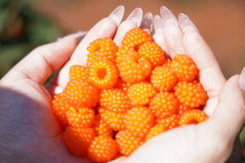 昆明阳宗海风景名胜区