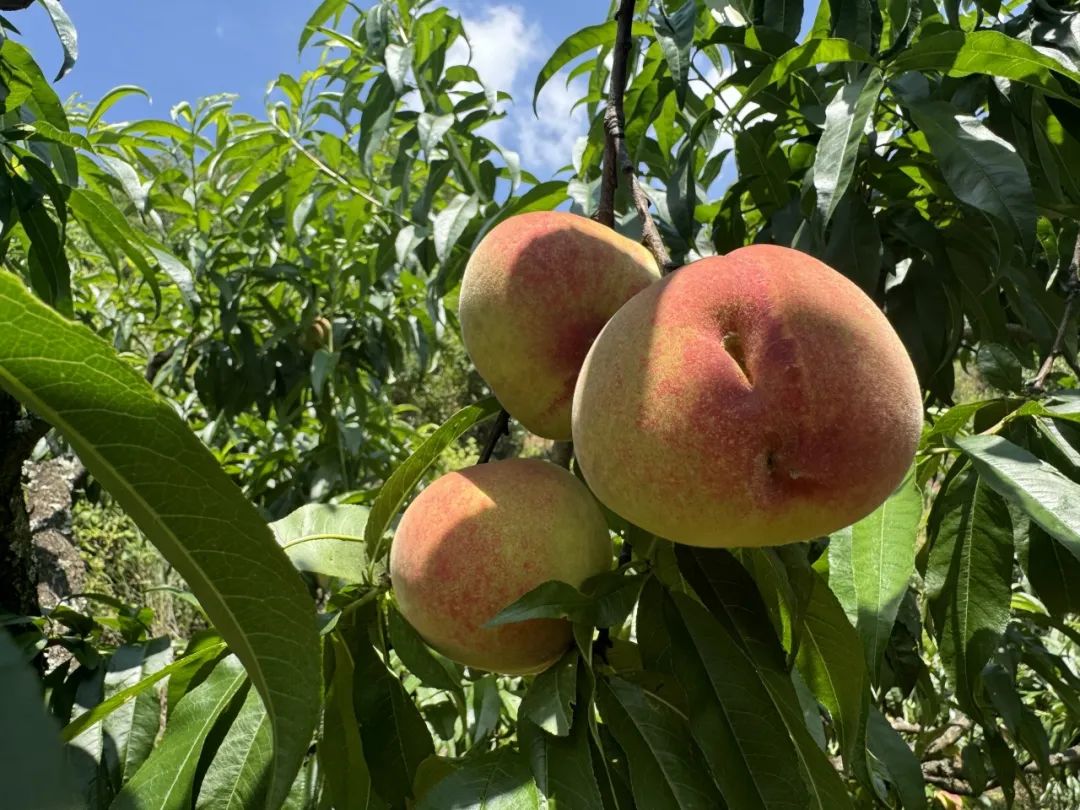 晋宁 诗意的栖居地
