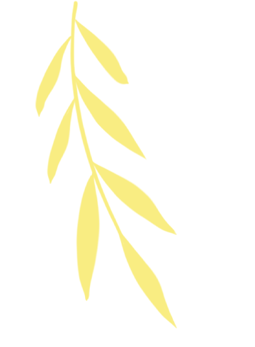 云南省中医医院