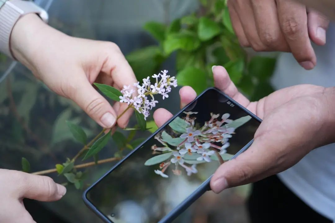 美丽云南微科普