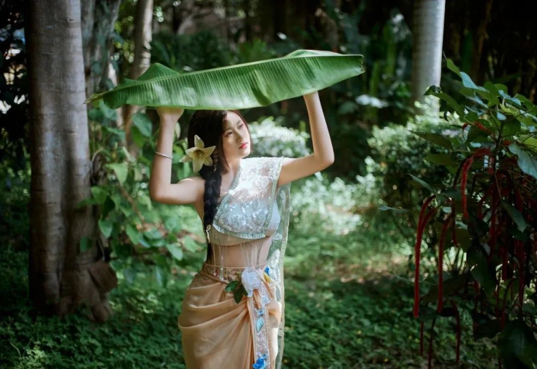 西双版纳望天树景区