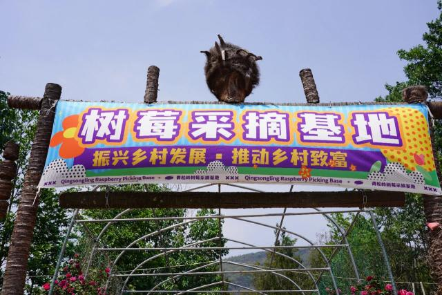 昆明阳宗海风景名胜区