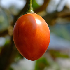 昆明市中医医院