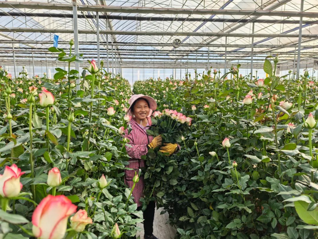 云南省人民政府