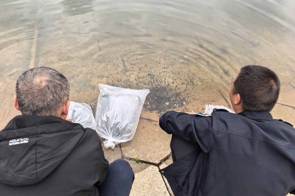 晋宁 诗意的栖居地