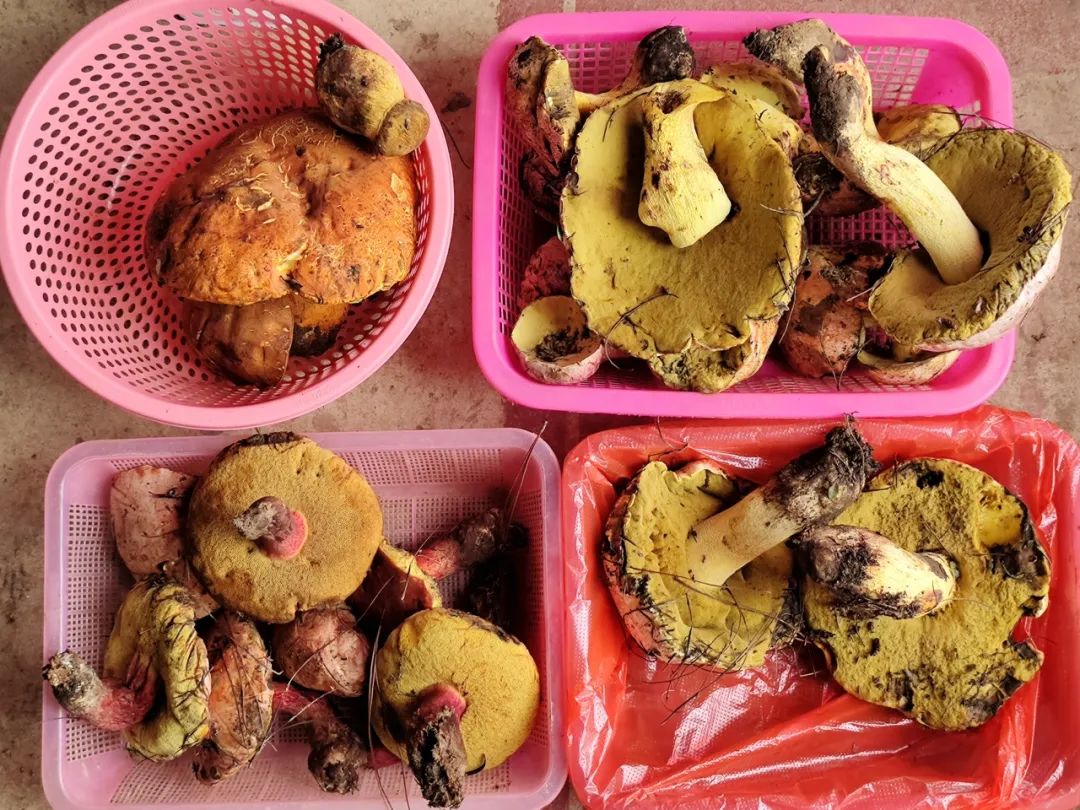 晋宁 诗意的栖居地