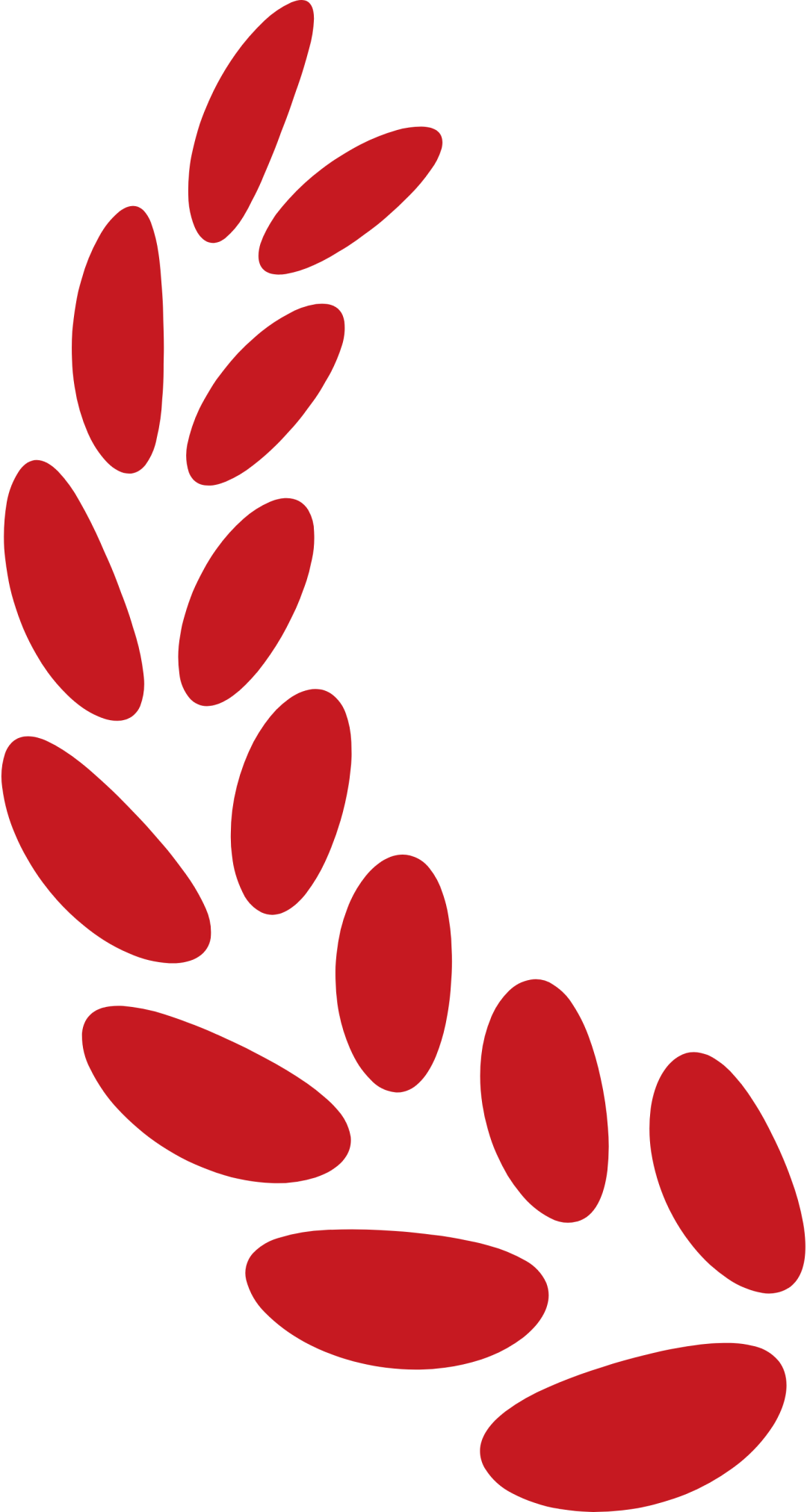 云南省招生考试院