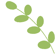 云南省中医医院