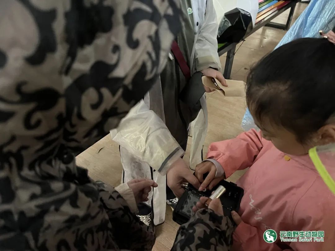 云南野生动物园