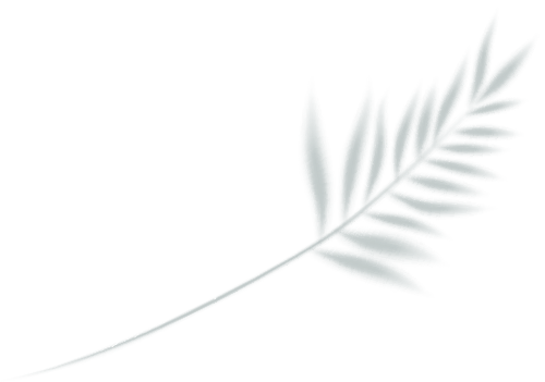 云南省招生考试院