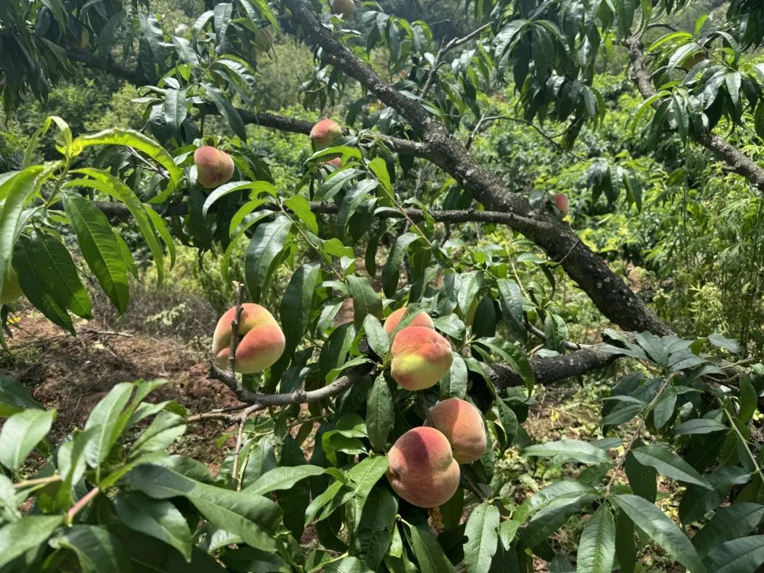晋宁 诗意的栖居地