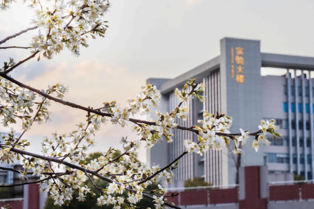 云南省招生考试院