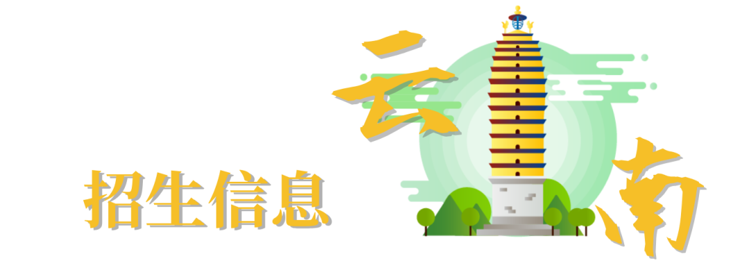 云南省招生考试院