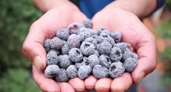 昆明阳宗海风景名胜区