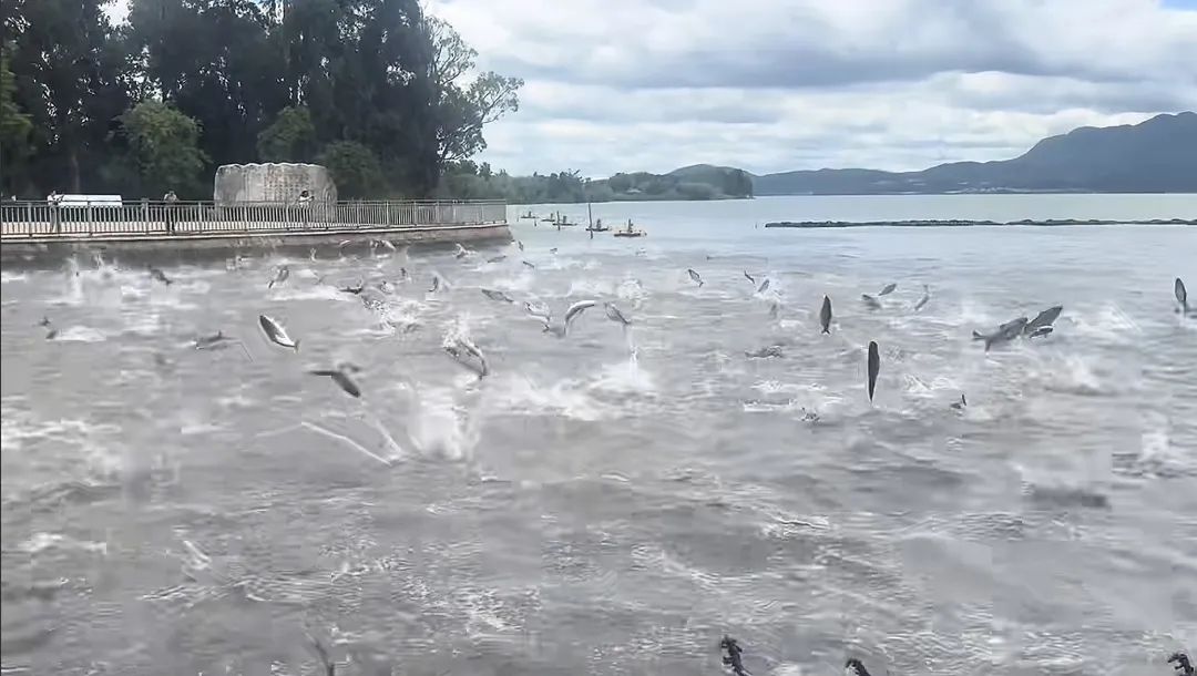 昆明广播电视台