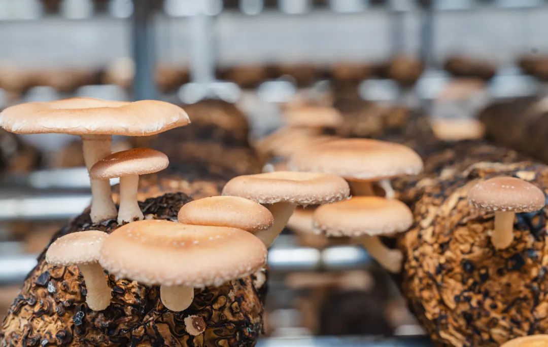 晋宁 诗意的栖居地