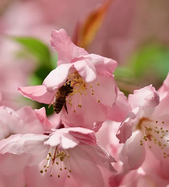 昆明市妇幼保健院