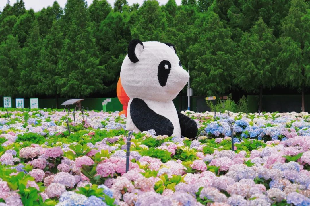 昆明文旅