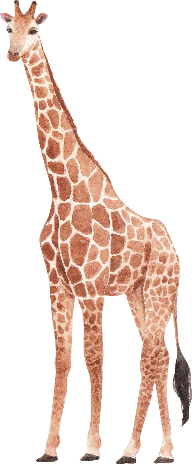 云南野生动物园