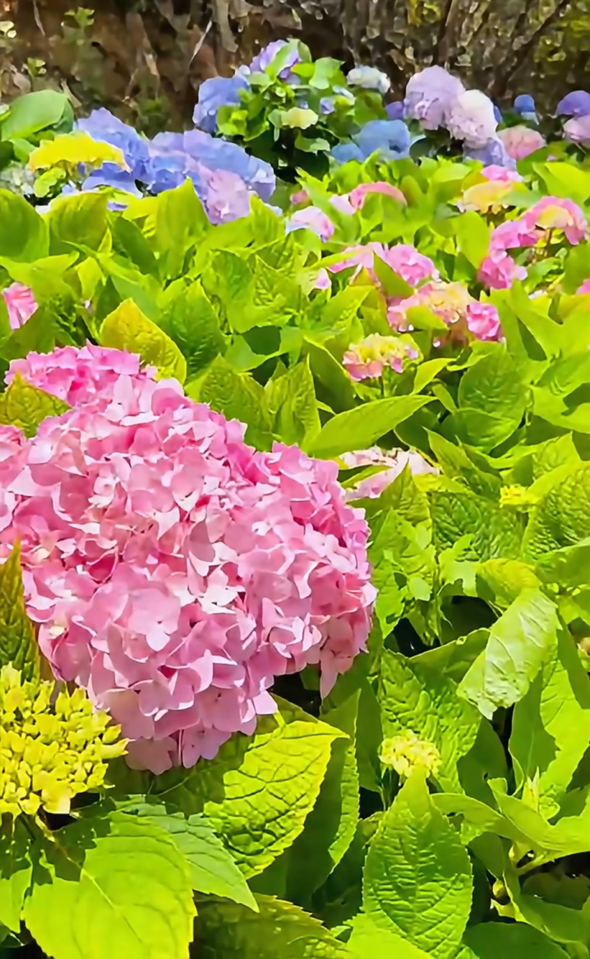 昆明文旅