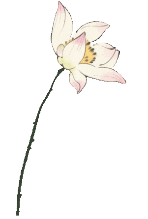 昆明市中医医院