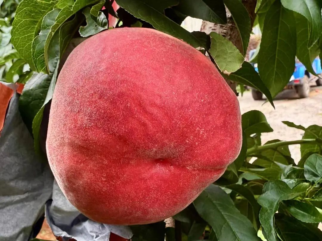 晋宁 诗意的栖居地