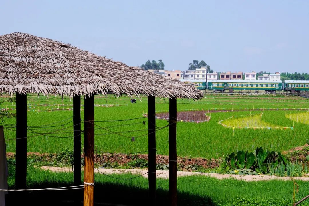 晋宁 诗意的栖居地