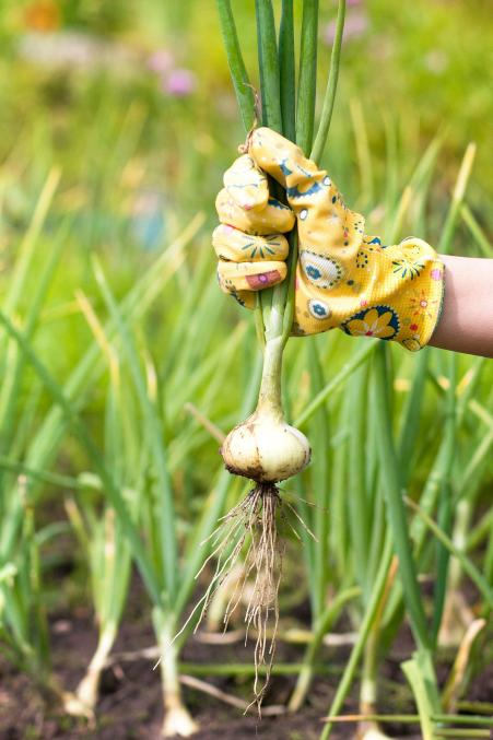 昆明市中医医院