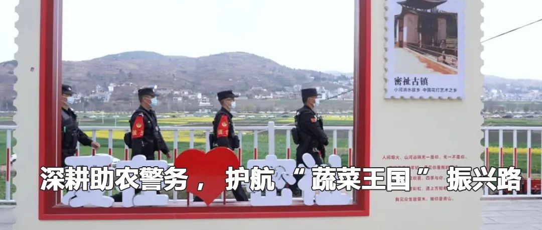 云南政法