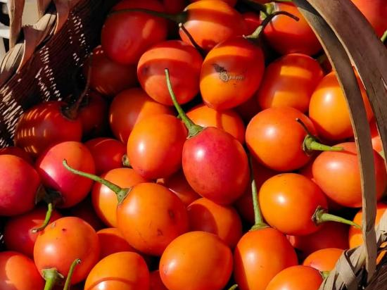 昆明市中医医院